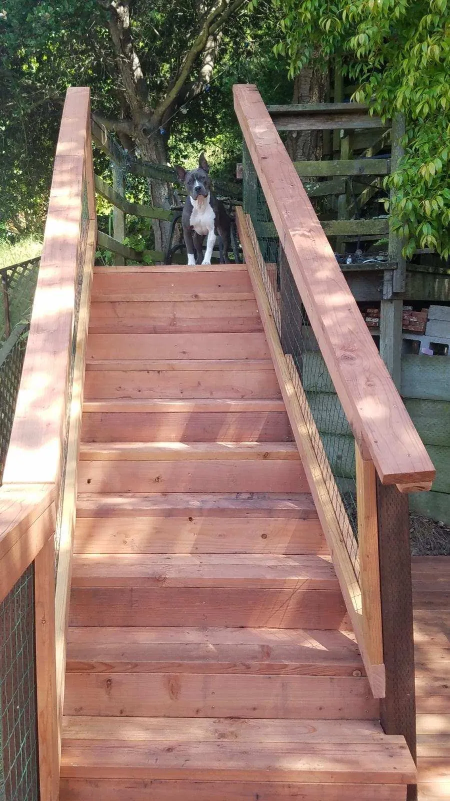 New redwood staircase